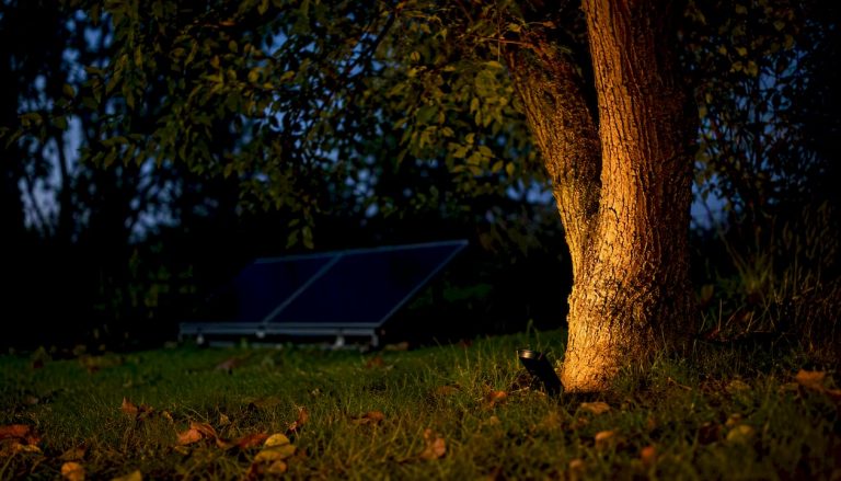 Drzewo delikatnie rozświetlone ciepłym światłem solarnych lamp tuż po zmierzchu.