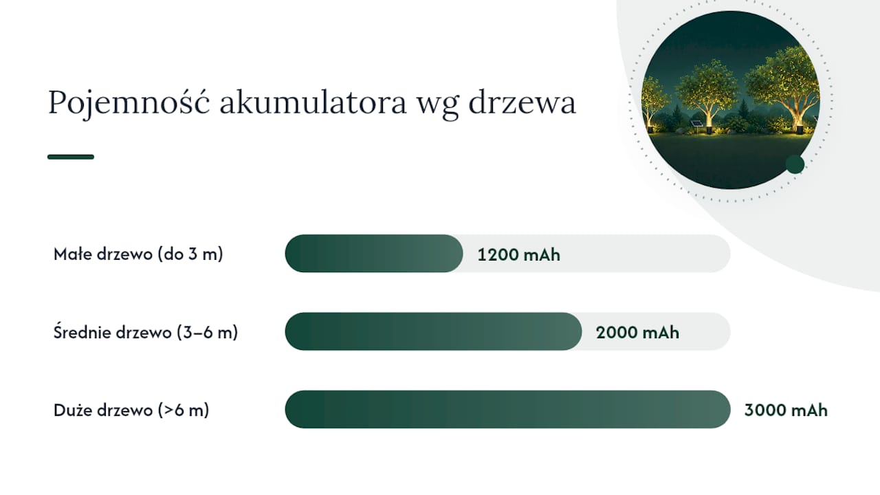 Zestawienie parametrów lamp solarnych w zależności od wielkości drzewa