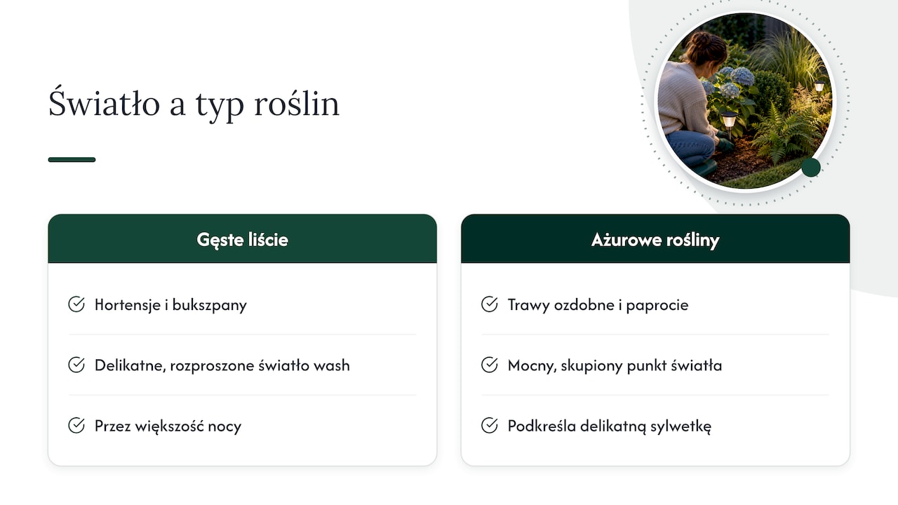 Porównanie rozproszonego i skupionego światła dla roślin