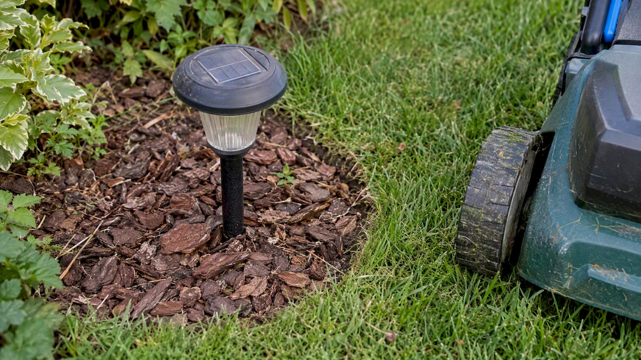 Lampa solarna stoi na środku opaski z kory